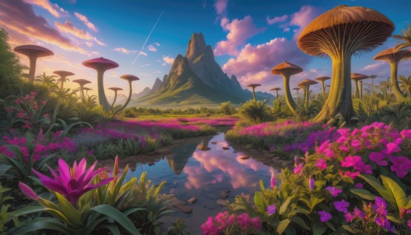 A landscape surrounded by a lush day