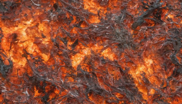 A calm fiery scenery highlighting a unique subject