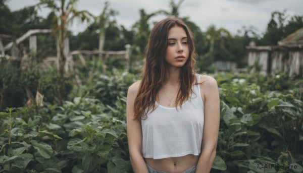 1girl,solo,long hair,breasts,brown hair,navel,bare shoulders,brown eyes,jewelry,upper body,outdoors,parted lips,day,midriff,necklace,blurry,tree,lips,crop top,looking to the side,blurry background,looking away,tank top,plant,camisole,realistic,fence,leaf,denim,nature