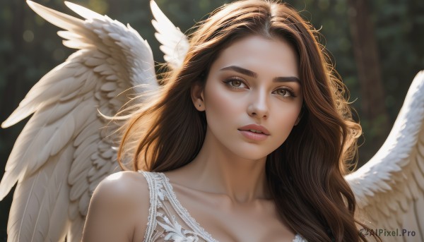 1girl,solo,long hair,breasts,looking at viewer,brown hair,cleavage,bare shoulders,brown eyes,jewelry,medium breasts,collarbone,upper body,earrings,parted lips,wings,teeth,blurry,lips,depth of field,blurry background,portrait,feathered wings,angel wings,realistic,nose,white wings,angel,dress,day,artist name,signature,white dress,sunlight,thick eyebrows,stud earrings,bokeh,thick lips