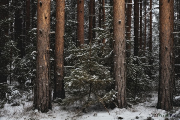 A unique subject set against the backdrop of a captivating snowy outdoors