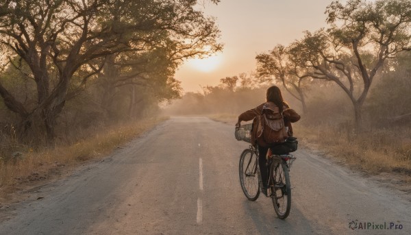 1girl,solo,long hair,brown hair,black hair,long sleeves,sitting,jacket,outdoors,hood,bag,from behind,scarf,tree,coat,sunlight,grass,ground vehicle,scenery,motor vehicle,sunset,brown jacket,sun,facing away,road,riding,wide shot,bare tree,street,bicycle,bicycle basket,1boy,male focus,sky,backpack,nature,ambiguous gender