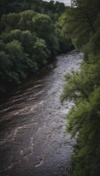 The elegance of a landscape in a ethereal day