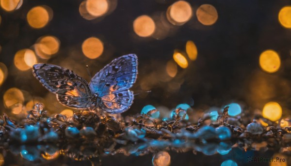 wings, blurry, no humans, depth of field, bug, butterfly, light particles, bokeh, butterfly wings