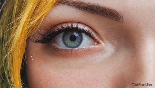 1girl,solo,looking at viewer,blue eyes,blonde hair,green eyes,eyelashes,close-up,reflection,realistic,eye focus