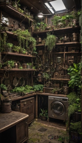 A indoors amidst a vivid scenery