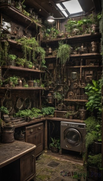 indoors,no humans,window,plant,scenery,potted plant,vines,shelf,overgrown,bottle,lamp,ceiling,ceiling light,cabinet,radio,loaded interior