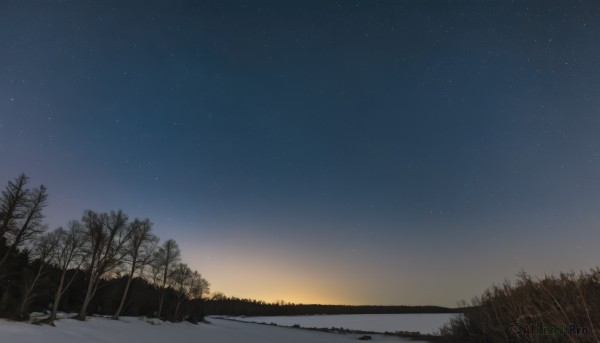 outdoors,sky,tree,no humans,night,grass,star (sky),nature,night sky,scenery,snow,forest,starry sky,sunset,winter,bare tree,gradient sky,sunrise,water,horizon,landscape