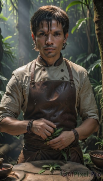 solo,looking at viewer,smile,short hair,brown hair,shirt,black hair,1boy,holding,brown eyes,jewelry,closed mouth,standing,upper body,male focus,outdoors,day,blurry,black eyes,apron,bracelet,tree,buttons,blurry background,facial hair,leaf,table,sunlight,plant,wristband,nature,beard,sleeves rolled up,forest,bowl,watch,realistic,dirty,brown apron,food,manly