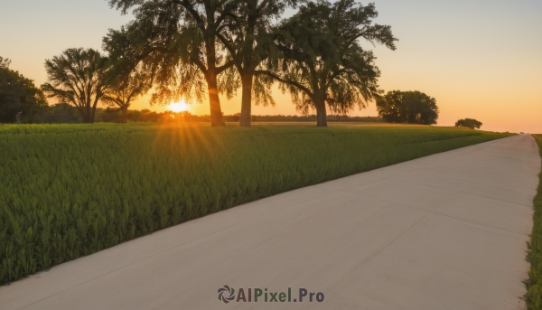 outdoors,sky,cloud,tree,no humans,sunlight,grass,ground vehicle,nature,scenery,sunset,sun,road,bush,evening,orange sky,path,yellow sky,lens flare,horizon,field,gradient sky