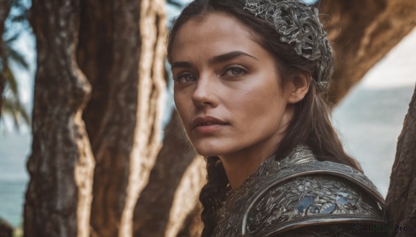 1girl,solo,long hair,looking at viewer,brown hair,black hair,hair ornament,brown eyes,upper body,outdoors,parted lips,day,armor,blurry,black eyes,from side,tree,lips,blurry background,shoulder armor,portrait,pauldrons,realistic,nose,closed mouth,braid,depth of field