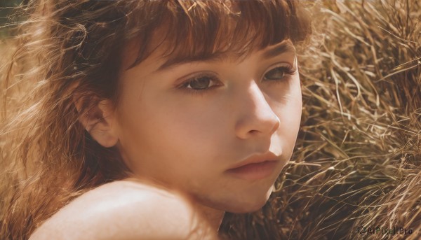 1girl,solo,long hair,looking at viewer,bangs,brown hair,brown eyes,closed mouth,outdoors,lips,expressionless,plant,portrait,nature,close-up,freckles,realistic,nose,short hair,eyelashes,grass,sepia