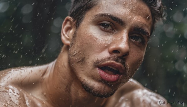 solo,looking at viewer,short hair,open mouth,black hair,1boy,brown eyes,male focus,nude,parted lips,teeth,blurry,black eyes,lips,wet,blurry background,facial hair,thick eyebrows,portrait,beard,close-up,rain,realistic,mustache,chest hair,brown hair,manly