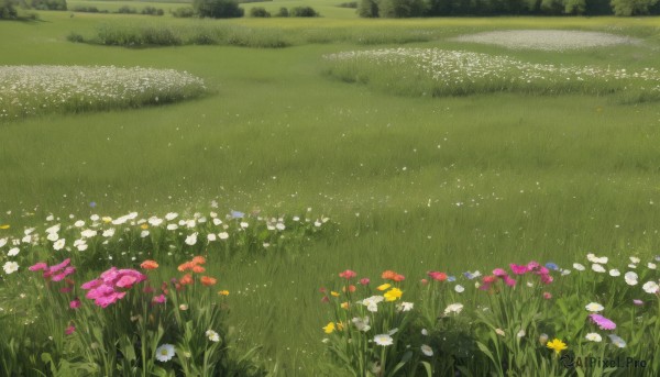 flower,outdoors,day,tree,no humans,grass,white flower,nature,scenery,pink flower,yellow flower,purple flower,field,flower field,daisy,sky,forest,landscape