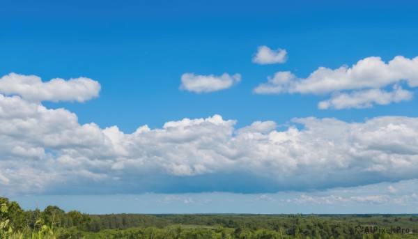 outdoors,sky,day,cloud,signature,tree,blue sky,no humans,cloudy sky,grass,nature,scenery,forest,horizon,field,summer,landscape,hill,cumulonimbus cloud,bird