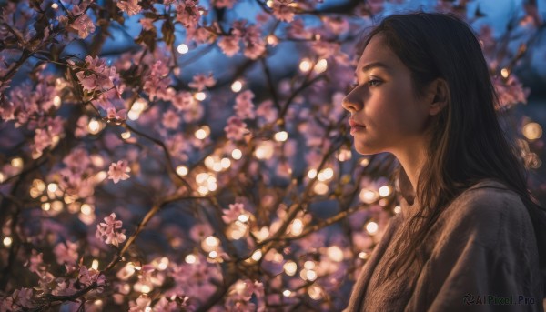 1girl, solo, long hair, black hair, upper body, flower, outdoors, blurry, from side, tree, lips, profile, night, depth of field, cherry blossoms, realistic, nose, branch