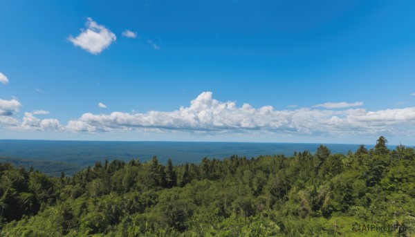 outdoors,sky,day,cloud,water,tree,blue sky,no humans,ocean,cloudy sky,grass,plant,nature,scenery,forest,horizon,summer,landscape