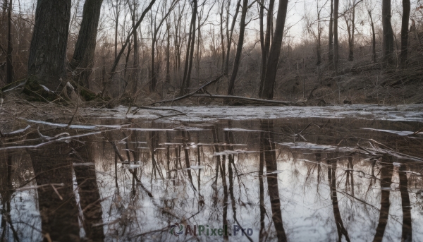 outdoors,tree,no humans,nature,scenery,snow,forest,ruins,winter,bridge,bare tree,fog,solo,day,water,reflection,river,landscape,lake,reflective water