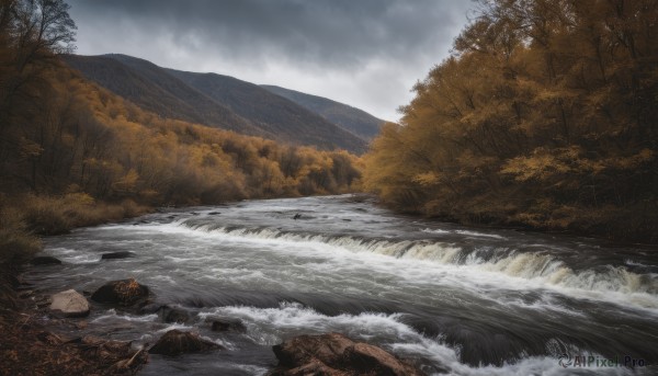 outdoors,sky,day,cloud,water,tree,no humans,bird,cloudy sky,nature,scenery,forest,rock,mountain,river,waves,waterfall,landscape,grey sky,ocean,lake,shore,overcast