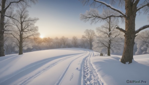 The elegance of a landscape in a tranquil snowy day