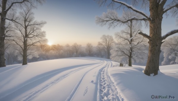 outdoors,sky,day,cloud,signature,tree,blue sky,no humans,sunlight,nature,scenery,snow,forest,sunset,mountain,sun,winter,bare tree,sunrise,footprints,pine tree,artist name,road,landscape