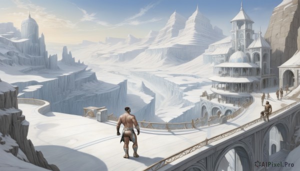A majestic snowy day featuring a male