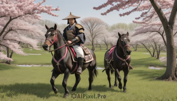 solo,brown hair,1boy,hat,weapon,male focus,boots,outdoors,japanese clothes,day,sword,armor,tree,animal,grass,cherry blossoms,sheath,scenery,sheathed,riding,japanese armor,horse,samurai,horseback riding,reins,saddle,black hair,long sleeves,holding,closed mouth,sky,pants,kimono,black footwear,holding weapon,blue sky,scar,sunlight,scar on face,white pants,field,wide shot