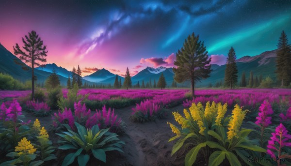 A landscape caught in a breathtaking outdoors