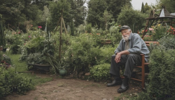 solo,looking at viewer,shirt,long sleeves,1boy,hat,sitting,jacket,full body,flower,white hair,grey hair,male focus,outdoors,shoes,day,pants,black footwear,tree,facial hair,scar,chair,black pants,own hands together,plant,nature,scenery,beard,forest,realistic,mustache,old,old man,garden,closed mouth,white shirt,necktie,sky,socks,collared shirt,table,thick eyebrows,suspenders,grass,red flower,baseball cap,sleeves rolled up,cigarette,bush,grey headwear