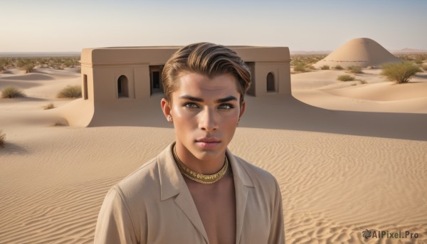 1girl,solo,looking at viewer,short hair,brown hair,shirt,brown eyes,jewelry,closed mouth,jacket,upper body,earrings,outdoors,day,dark skin,necklace,dark-skinned female,lips,ground vehicle,mountain,realistic,very short hair,undercut,desert,breasts,sky,parody,scenery,sand