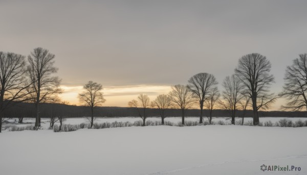 outdoors,sky,cloud,water,tree,no humans,grass,nature,scenery,snow,sunset,mountain,road,winter,bare tree,landscape,cloudy sky,horizon,fog,orange sky,grey sky,overcast