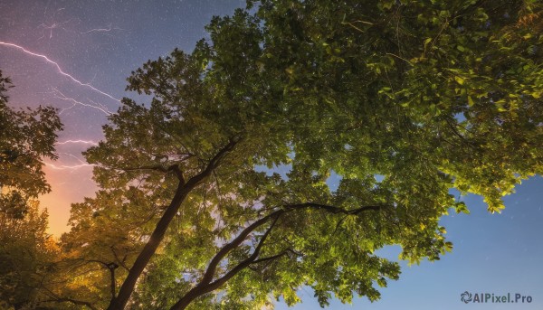 outdoors,sky,cloud,tree,blue sky,no humans,night,star (sky),nature,night sky,scenery,forest,starry sky,sunset,gradient sky,day,signature,branch