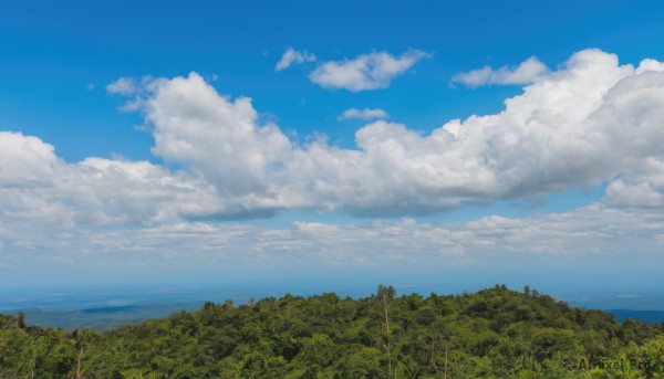 outdoors,sky,day,cloud,water,tree,blue sky,no humans,ocean,cloudy sky,grass,plant,nature,scenery,forest,horizon,summer,landscape