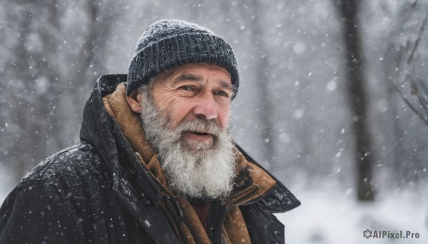 solo,looking at viewer,blue eyes,1boy,hat,jacket,upper body,white hair,male focus,outdoors,blurry,tree,coat,black headwear,facial hair,beard,snow,snowing,realistic,mustache,beanie,winter clothes,manly,old,winter,old man,smile,closed mouth,grey hair,lips,depth of field,blurry background,scar,portrait,black coat,brown coat,bare tree,grey sky,wrinkled skin