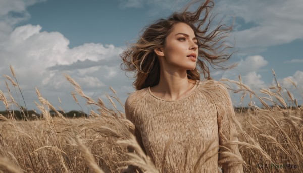 1girl,solo,long hair,brown hair,brown eyes,collarbone,upper body,outdoors,parted lips,sky,day,cloud,sweater,blue sky,lips,looking to the side,floating hair,looking away,cloudy sky,grass,looking up,wind,realistic,nose,looking afar,field,wheat,scenery