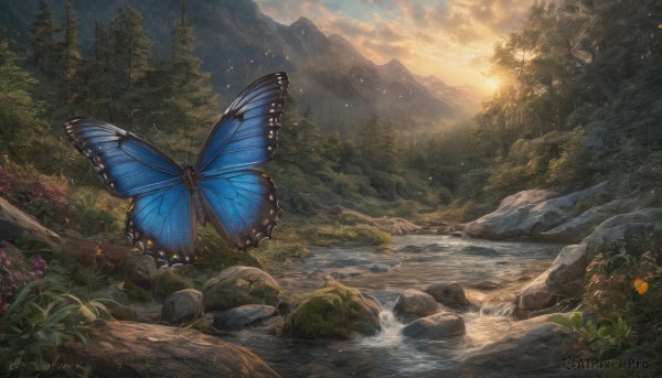 A stunning butterfly captured in sunset outdoors