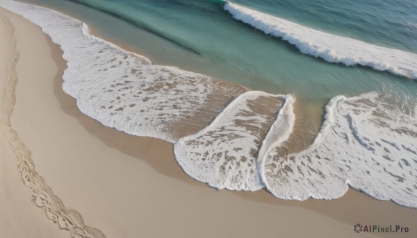 outdoors,water,no humans,bird,ocean,beach,scenery,sand,waves,food focus,shore,still life,realistic,watercraft