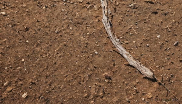 A unique subject portrayed in a vivid outdoors