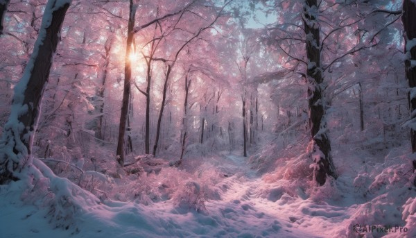 A breathtaking outdoors with a landscape