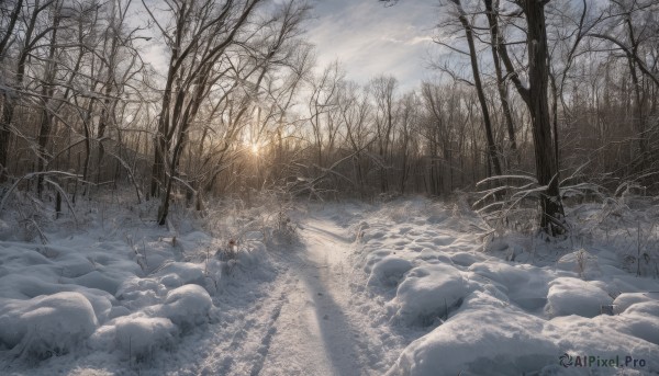 outdoors,sky,day,cloud,tree,no humans,sunlight,cloudy sky,grass,nature,scenery,snow,forest,light rays,fence,winter,bare tree,landscape,1girl,solo,ice,rock,frozen