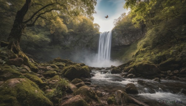 outdoors, sky, day, cloud, water, tree, no humans, bird, nature, scenery, forest, rock, river, waterfall