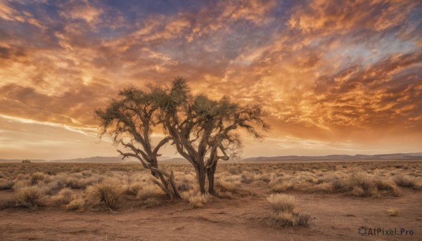 The serene presence of a landscape in a breathtaking sunset outdoors
