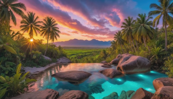 A unique subject in a dynamic sunset outdoors
