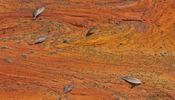 A abstract caught in a breathtaking background