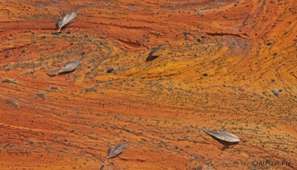 outdoors,no humans,bird,leaf,from above,traditional media,nature,scenery,road,autumn leaves,autumn,orange theme,rock,sand,orange background,desert,footprints