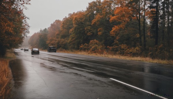 outdoors,sky,day,tree,dutch angle,no humans,sunlight,grass,ground vehicle,nature,scenery,motor vehicle,forest,car,road,bush,autumn leaves,street,autumn,realistic,landscape