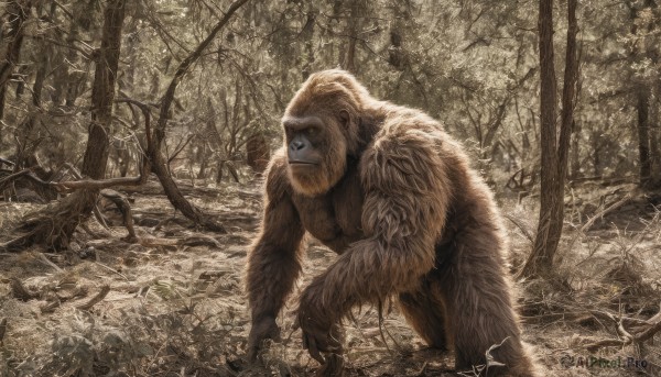 A monster in a dynamic outdoors