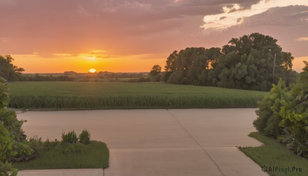 outdoors,sky,cloud,tree,no humans,sunlight,cloudy sky,grass,plant,nature,scenery,forest,sunset,sun,road,bush,lamppost,landscape,orange sky,path,horizon