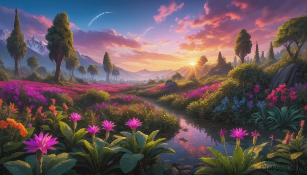 The elegance of a landscape in a idyllic sunset outdoors