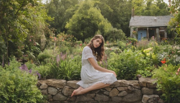 The serene presence of a garden in a breathtaking day